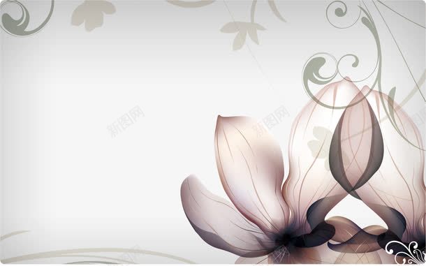 花朵优雅背景png免抠素材_88icon https://88icon.com 优雅背景 展板设计 花朵
