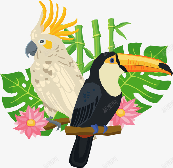 热带雨林鹦鹉大嘴鸟png免抠素材_88icon https://88icon.com 大嘴鸟 热带雨林 犀鸟 白色鹦鹉 矢量png 鹦鹉 黑色大嘴鸟