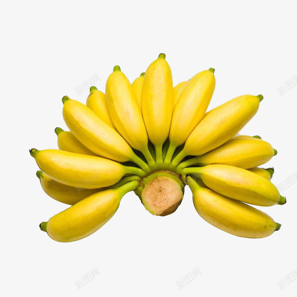 一串黄色清新美味的小米蕉实物免png免抠素材_88icon https://88icon.com 一串黄色清新美味的小米蕉实物免抠免费下载 亚热带 健康 小米蕉 摄影 水果 美味 美食 营养 香蕉