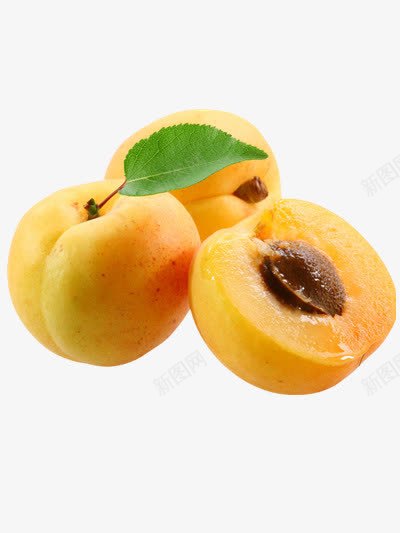 新鲜梅子png免抠素材_88icon https://88icon.com 梅子 水果 黄色