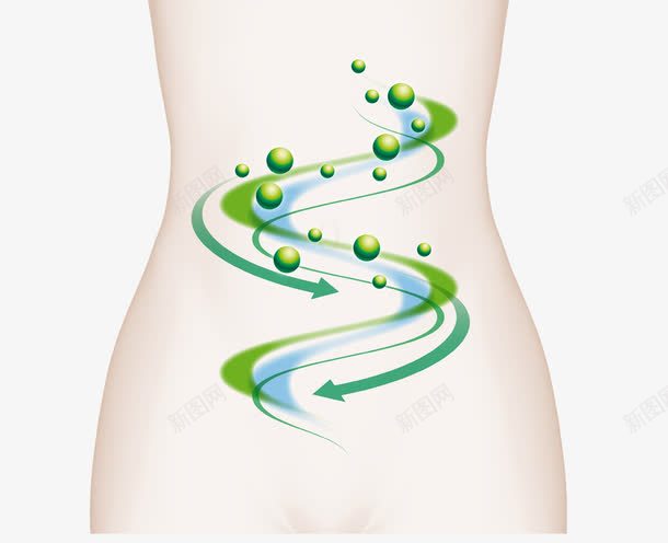 人物肠道png免抠素材_88icon https://88icon.com 女性身体 循环 手绘 肠胃 身体