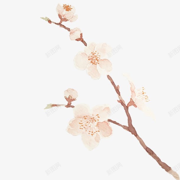 手绘水彩桃花枝装饰png免抠素材_88icon https://88icon.com 手绘 桃花枝 清新 装饰素材