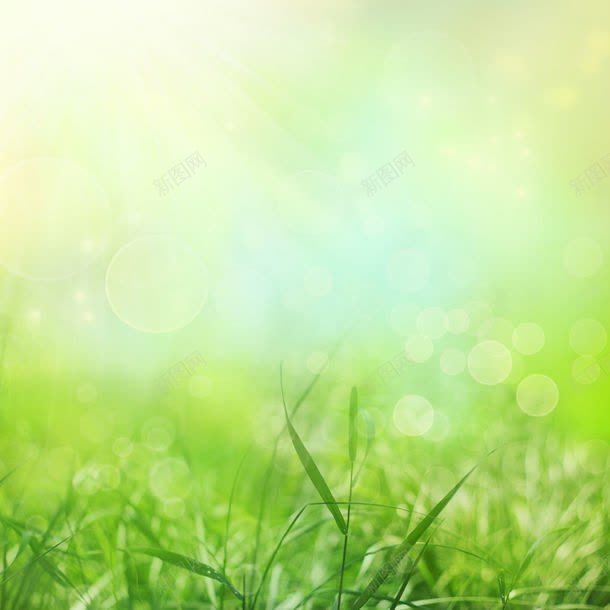 草地与梦幻光斑背景jpg设计背景_88icon https://88icon.com 图片素材 底纹背景 底纹边框 春天背景 梦幻光斑 梦幻背景 绿色清新背景 背景花边 草地与梦幻光斑背景图片 草地与梦幻光斑背景图片素材下载 草地背景