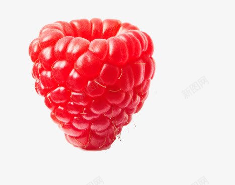红色树莓png免抠素材_88icon https://88icon.com 实物 树莓 水果 红色