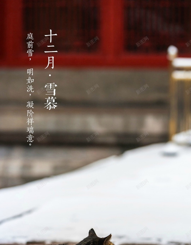 文字雪景猫咪H5背景jpg设计背景_88icon https://88icon.com H5 h5 十二月 卡通 彩色 手绘 故宫 文字 猫咪 童趣 雪景