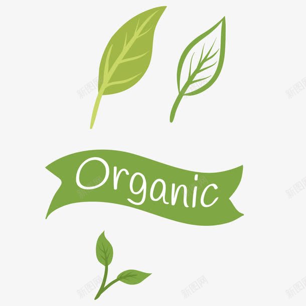 植物树叶字体符号png免抠素材_88icon https://88icon.com 保 公告 公示 告示 小叶子 折角装饰标题 文字底纹 文字标题背景 条幅 模型 环保装饰 环文案字体展示 绿色装饰