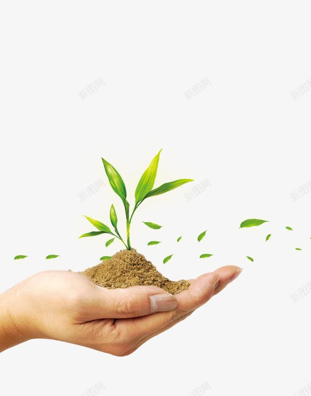 手捧植物png免抠素材_88icon https://88icon.com 发芽 呵护 土 手 植物 绿叶 绿色