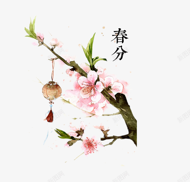 一树桃花之春分节气png免抠素材_88icon https://88icon.com 中国风 二十四节气 春分 春天 春季 桃花 清新