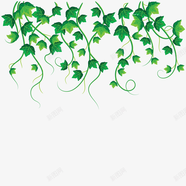精美绿色藤叶藤蔓矢量图ai免抠素材_88icon https://88icon.com 叶子 植物 滕叶 精美 精致 绿植 绿色 葡萄藤 葡萄藤叶 藤叶 藤蔓 矢量图