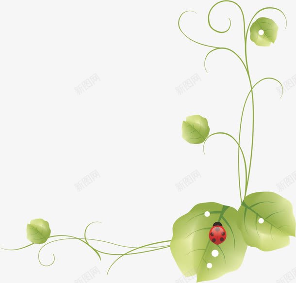 绿叶藤蔓png免抠素材_88icon https://88icon.com 动物 卡通 叶子 手绘 瓢虫 线条 绿叶 绿色 花边 藤蔓 边框