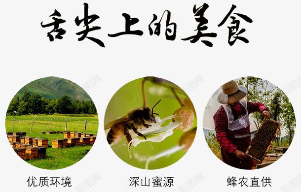 舌尖上的美食png免抠素材_88icon https://88icon.com 养蜂人 天然蜂蜜 搅蜜棒 槐花蜜 洋槐蜂蜜 洋槐蜜 淘宝天猫 美味 蜂箱 蜂蜡 蜜蜂 野蜂蜜 餐饮美食