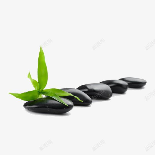 一堆码放好的石头png免抠素材_88icon https://88icon.com 堆石块 按摩 整齐 石头 码放 绿叶 绿色
