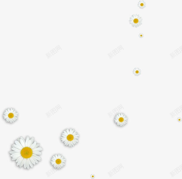 白色小雏菊医疗背景png免抠素材_88icon https://88icon.com 医疗 白色 背景