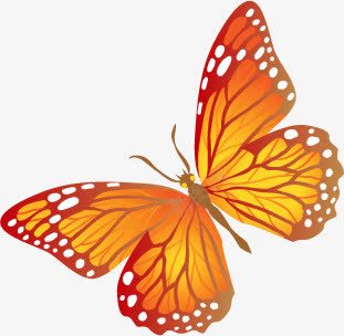 春天黄红色手绘蝴蝶纹理png免抠素材_88icon https://88icon.com 春天 红色 纹理 蝴蝶
