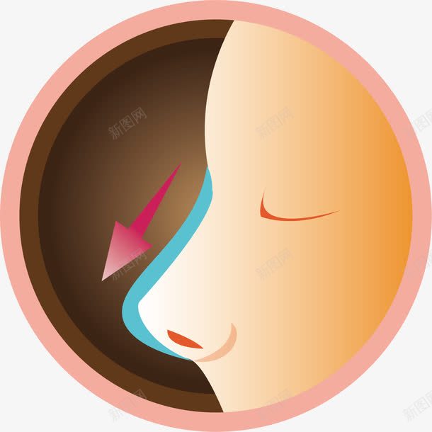 人体的鼻子器官卡通png免抠素材_88icon https://88icon.com 器官 生物医药 生物医药产业 生物医药展板 生物医药广告 生物医药整容 鼻子