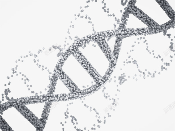 dna遗传物质深灰色基因肽链脱png免抠素材_88icon https://88icon.com dna dna遗传物质深灰色基因肽链脱氧核糖核酸png免费下载 亲子鉴定 基因 深灰色 肽链 脱氧核糖核酸png 遗传物质