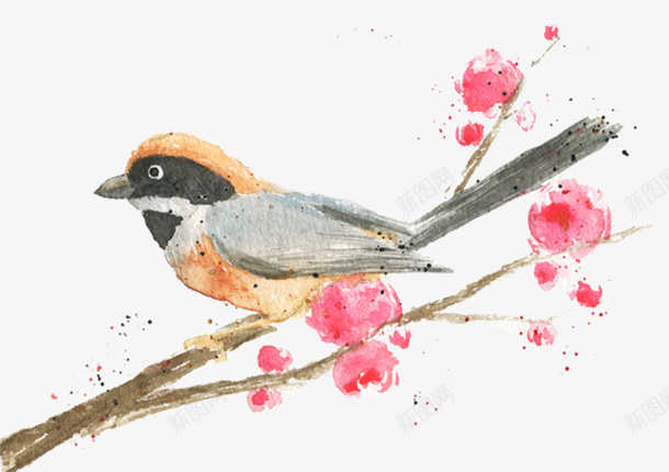 手绘春天小鸟插画png免抠素材_88icon https://88icon.com 卡通手绘 手绘小鸟 春天 站在树枝上的小鸟 鸟儿 鸟类