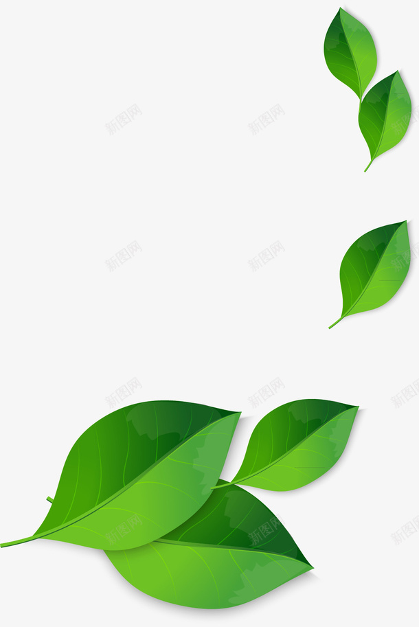 绿叶png免抠素材_88icon https://88icon.com 树叶 矢量绿叶素材 绿叶 绿叶图