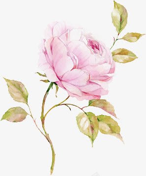 插画风红花png免抠素材_88icon https://88icon.com 手工 树叶 水彩画 绿化 自然 花卉 设计