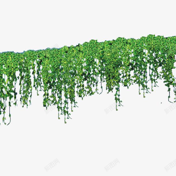 绿色植物png免抠素材_88icon https://88icon.com 园林 树木 绿化装饰 绿色植物 花丛 花草