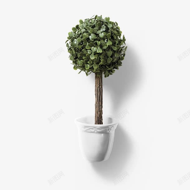 圆形盆栽png免抠素材_88icon https://88icon.com 健康 春天 春天素材 春季素材 桌面 植树节 植物 盆景 绿色