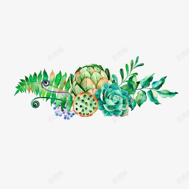手绘花朵png免抠素材_88icon https://88icon.com 叶子 多肉植物 手绘 植物 水彩 莲蓬