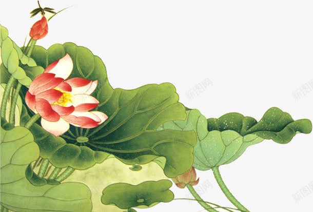 端午节电器模板png免抠素材_88icon https://88icon.com 荷叶 荷花 蜻蜓