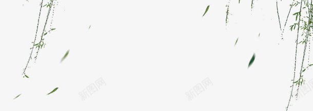 柳条枝条海报背景psd免抠素材_88icon https://88icon.com banner 下载 元素 枝条 柳条 海报 清明 素材 绿色 背景