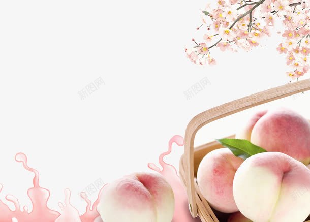 桃子背景png免抠素材_88icon https://88icon.com 桃子 桃花枝 水彩 美味