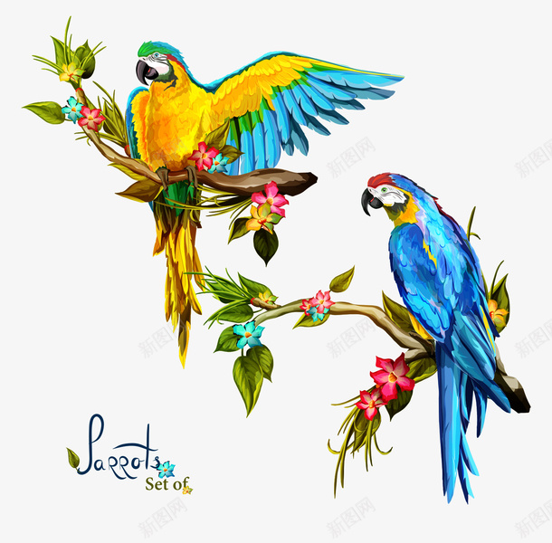 彩色美丽的鹦鹉插画矢量图ai免抠素材_88icon https://88icon.com 水彩鹦鹉 渐变 渐变样式 渐变鹦鹉 鹦鹉 鹦鹉插画 鹦鹉矢量 矢量图