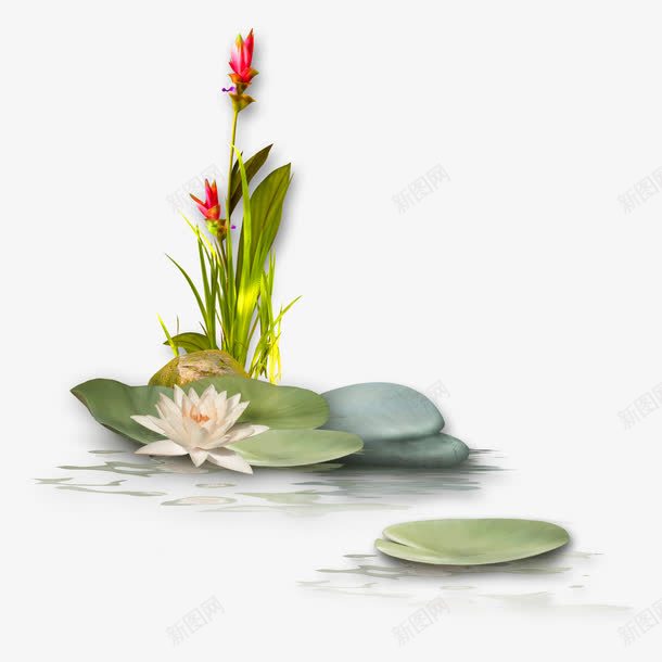 绿色简约花朵荷塘装饰图案png免抠素材_88icon https://88icon.com 免抠PNG 简约 绿色 花朵 荷塘 装饰图案