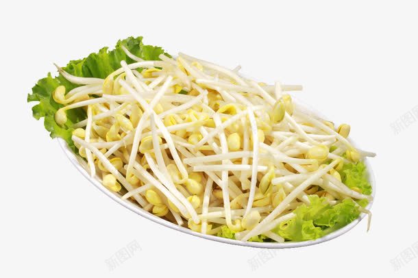 新鲜黄豆芽png免抠素材_88icon https://88icon.com 传统美食 涮锅子 火锅菜品 火锅菜品大全 火锅配菜 火锅食材 食物原料 餐饮美食 黄豆芽