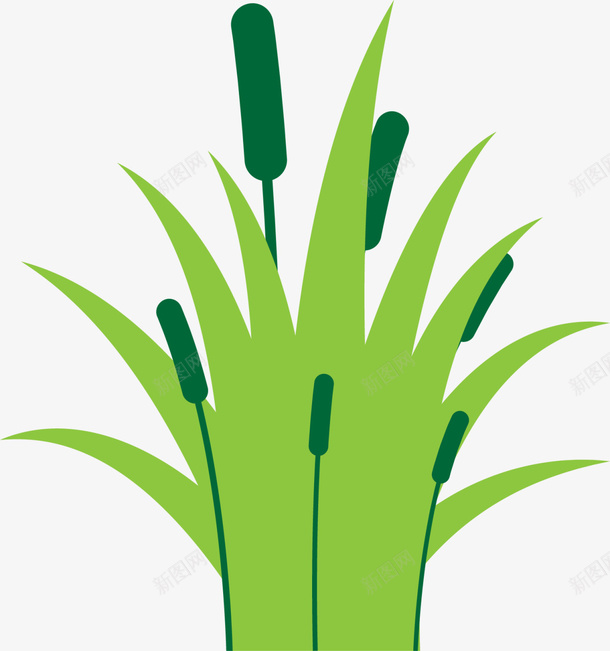绿色扁平卡通芦苇png免抠素材_88icon https://88icon.com 小草 春天 春季 春日 植物 自然 芒草 芦苇 草丛