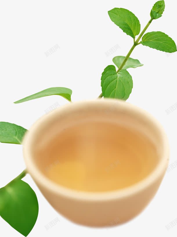 可爱春天手绘唯美树叶png免抠素材_88icon https://88icon.com 可爱 春天 树叶
