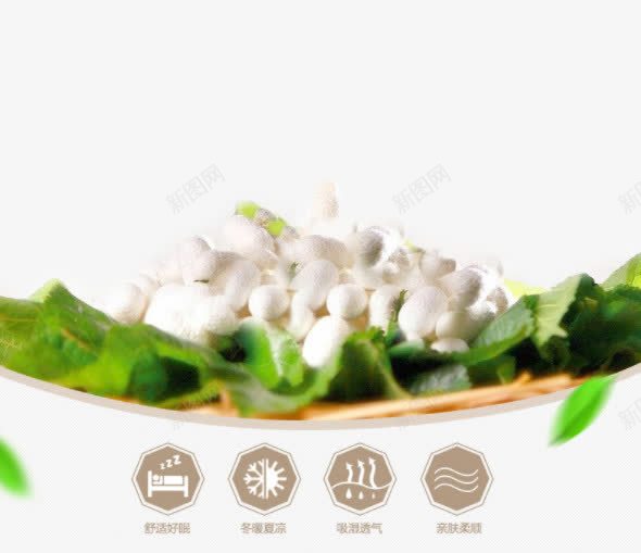 蚕丝被详情页元素png免抠素材_88icon https://88icon.com png图片素材 产品实物 免费png元素 免费png素材 叶子 桑叶蚕茧 绿色 蚕丝被 蚕丝被详情页元素 蚕茧