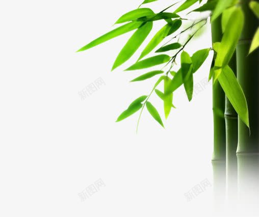绿色春天清新竹叶png免抠素材_88icon https://88icon.com 春天 清新 竹叶 绿色
