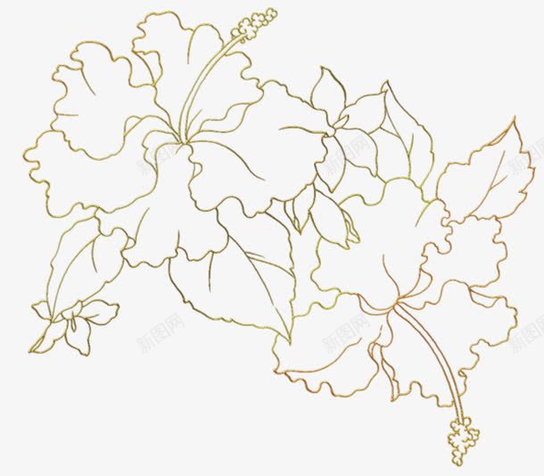 简笔画花朵png免抠素材_88icon https://88icon.com 描边 简笔画 素描 花朵 金色