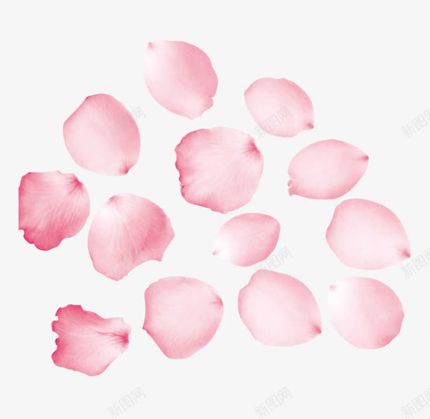 纷纷飘零的粉色花瓣png免抠素材_88icon https://88icon.com 粉色 纷纷 花瓣 飘零