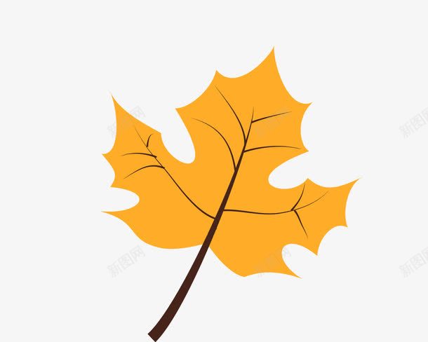 手绘枫叶png免抠素材_88icon https://88icon.com 一片 卡通 叶子 手绘 桔梗 橘色 简图 纹理 黑色