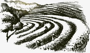 手绘茶园png免抠素材_88icon https://88icon.com 手绘 茶园 黑色