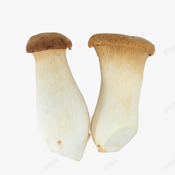 鸡腿菇png免抠素材_88icon https://88icon.com 实物 平菇 摄影 无土栽培 生物世界 花草 菇 菌 菌类 蔬菜 蘑菇 高清素材 鸡腿 鸡腿菇