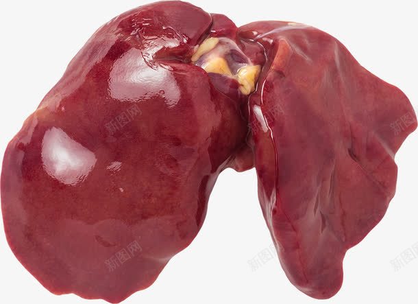 动物肝脏png免抠素材_88icon https://88icon.com 矢量装饰 肉 肝脏 装饰 食物 鲜肉