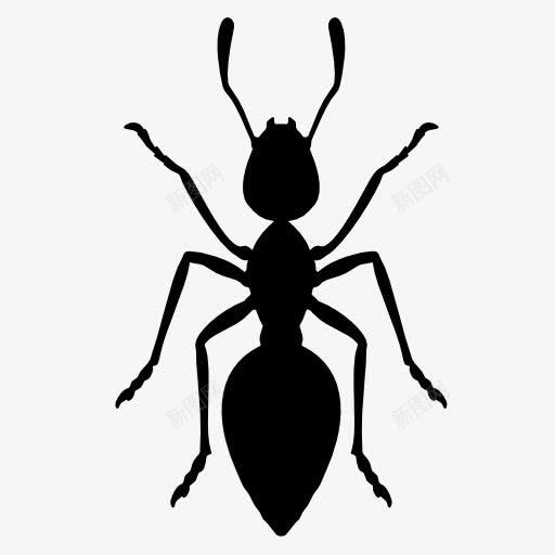 蚂蚁剪影png免抠素材_88icon https://88icon.com 动物 投影 昆虫 黑色剪影