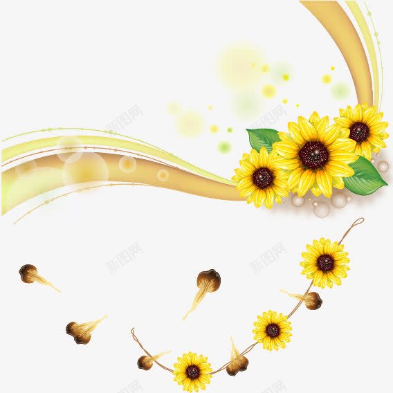 秋菊边框png免抠素材_88icon https://88icon.com 秋菊 花卉 花瓣 花草 菊花 黄 黄色