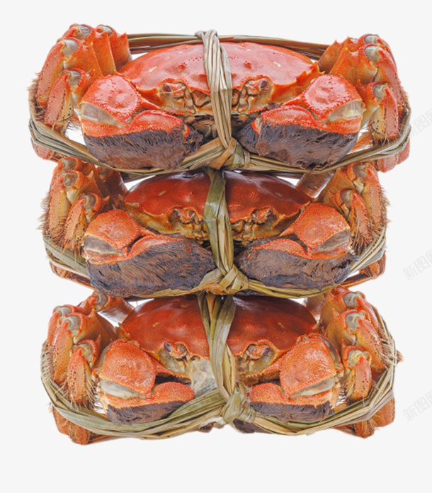 红色美味的食物清蒸大闸蟹实物png免抠素材_88icon https://88icon.com 免扣 免费下载 大闸蟹 清蒸 清蒸蟹 红色 蒸蟹 螃蟹 蟹 食物