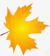 橙黄色带亮光枫叶png免抠素材_88icon https://88icon.com 亮光 枫叶 橙黄 色带