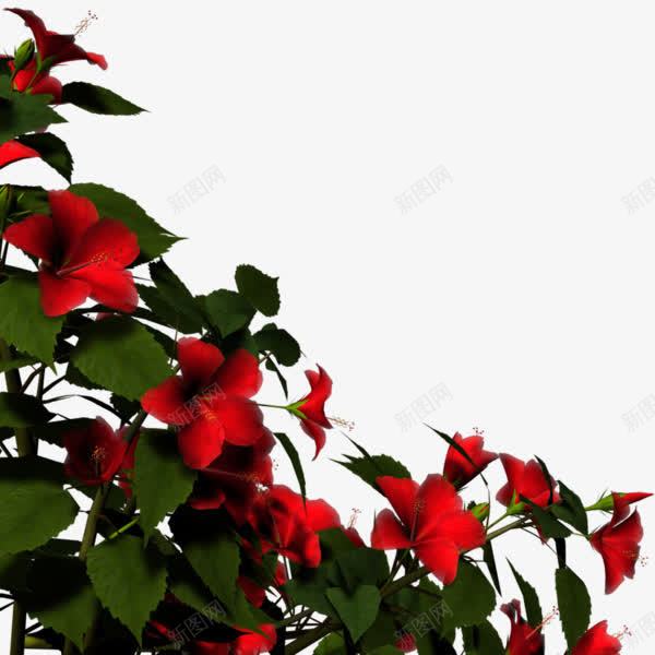 卡通红色花卉绿叶前景装饰png免抠素材_88icon https://88icon.com 前景 卡通手绘 卡通红色 卡通绿叶 红色花朵 绿叶 花卉 装饰