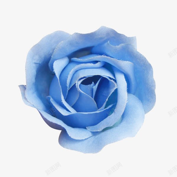 清新唯美装饰png免抠素材_88icon https://88icon.com 假花 唯美 塑料 清新 清新唯美装饰 玫瑰 素材 花 花朵 花模型 蓝玫瑰 蓝色 装饰