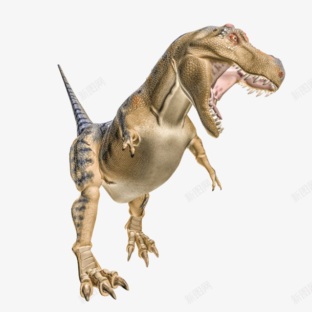 逼真的暴龙灭绝生物实物png免抠素材_88icon https://88icon.com 动物 卡通 恐龙 死亡 殆尽 消失 灭亡 灭绝生物 物种 玩具 生命体 绝种 食肉动物