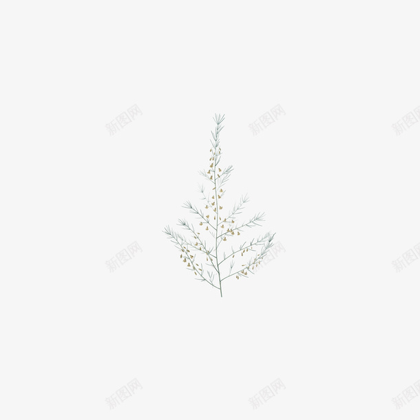 浅色分叉树枝png免抠素材_88icon https://88icon.com 手绘花草 树枝 花朵 花草